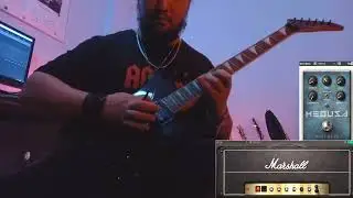 Softube Marshall JMP 2203 - WitchPig Medusa - Aria Pro XL DLX