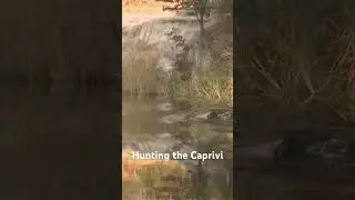Hunting the Caprivi