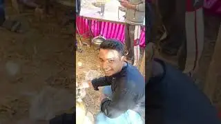 “गाँव की शादी में लड़कों की हालत देखो—जिन्होंने रोटी कभी नहीं बनाई, वो भी यहाँ शेफ़ बन जाते हैं!😂😂