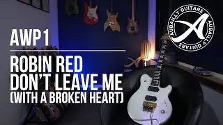 AWP1 - Robin Red - Don't leave me - Guitar cover