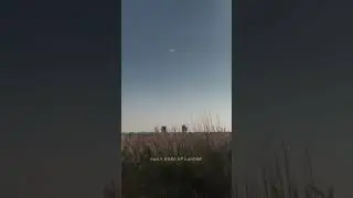 Smart View