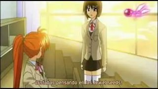 [SPnF] Nanoha School Days jap version epi01 (sub español)