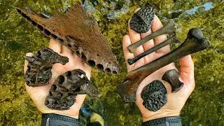 We Found an Alligator Graveyard While SCUBA Diving for Fossils in a Florida River!