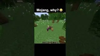 Minecraft fence moment