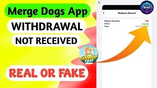 Merge Dogs World Trip Withdrawal Not Received | Merge Dogs Payment Proof | SMG KARAN