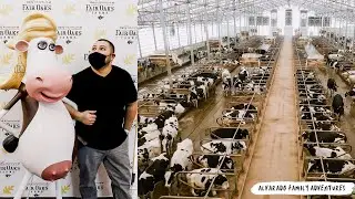 Fair Oaks Farms | Alvarado Family Adventures |  I did not expect to see this....WOW!!!