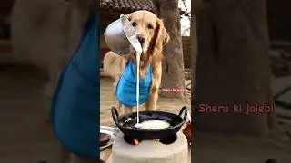 Sheru the poor dog 🐕 😢 #dog #puppy #doggielife #cute #dogshorts #trending #cutedog #storiesforkids