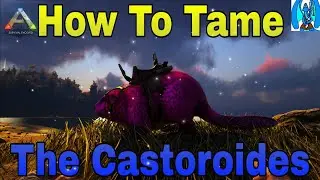 Ark Survival Evolved How To Tame The Castoroides