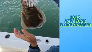 2025 NYS Fluke Season Opener