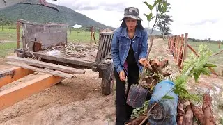 I Start My Weekend Job As A Farmer In Rural Village| Thyda Village Lifestyle