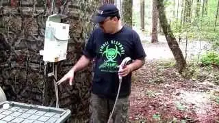 bugout trailer