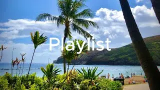 Ad-Free Summer Bossa Nova Guitar Playlist &ndash; Sunset Caf&eacute;, Scat Guitar, Healing Lounge Vibes