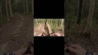 Ride with me: O&rsquo;Shea Road (December 2025)