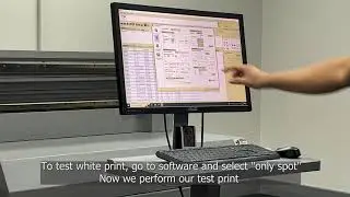 Purging and Expelling Air from the White Ink System