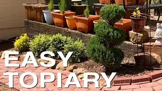 Easy Steps to Basic Topiary