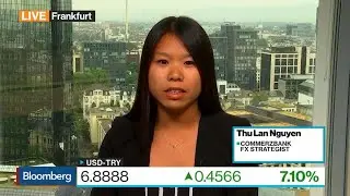 Turkey's Best Solution Is Capital Controls, Says Commerzbank's Nguyen