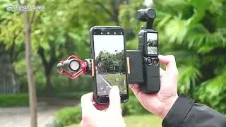 Phone Holder Set Expansion Accessories Universal Mini Extension Pole Tripod - Order today