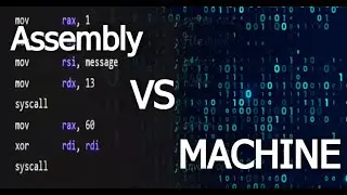 Decoding Low-Level Languages: Assembly vs Machine