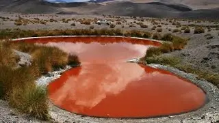 Antofalla, ojos del campo, puna de atacama, Catamarca (vista aerea)