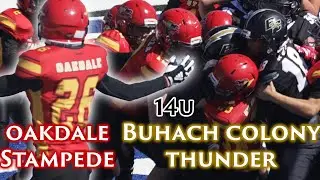 14u Buhach Colony Thunder vs Oakdale Stampede Live Highlights
