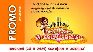 Promo of Onam Special