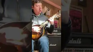 distorted mandolin INSANITY 🤯