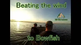 Beating the Wind to Bowfish