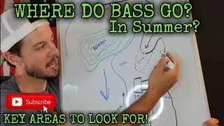 Where Do Bass Go In Summer? (How To Find & Catch Them) #bassfishing #summer #summerfishing
