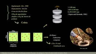 Apresenta&ccedil;&atilde;o Microbiologia Laiane