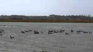 Chasse &agrave; la tonne