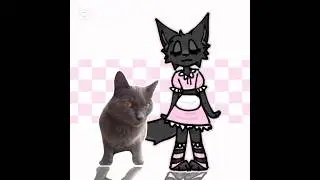 💞 #capcut #трендытиктока #trend #рекомендации #animation #cat #анимация #alightmotion