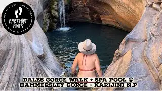 Dales Gorge & Spa pool, Hammersley gorge in Karijini National Park