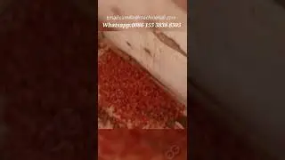 Automatic Tomato Washing Cube Cutting Machine Canned Tomato Processing Machine