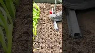 simple and creative tool to help make planting holes #shorts #farming #garden #tools