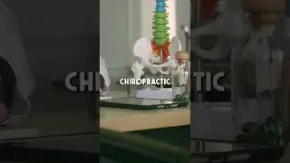 Spinal Hygiene is the set of practices associated with preservation of the spine, including