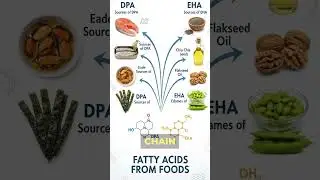 DHA & EPA: The Essential Fats Your Brain Can&rsquo;t Function Without