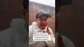 HAVE. A Musty wet Damp odor ?