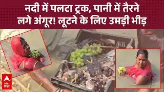 Darbhanga Viral Video: नदीं में पलटा अंगूरों से भार ट्रक, लूटने के लिए गांववालों में मची होड़