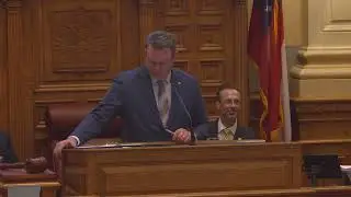 Georgia Senate 2026 - Day 5 AM Session 1