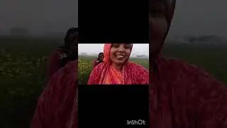 👍🏻👍🏻🥰🥰 सरसों मटर आलू के खेत देखो कैसे हारेभरे 🪴🪴🪴🪴