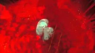 SPLASH MACADAM - Dead drunk -