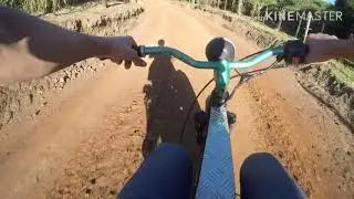 Biz fu&ccedil;ada e modificada