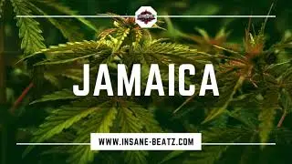 (FREE) Reggae Rap Beat 2021 