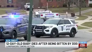 12-day-old baby dies after being bitten by dog, coroner says