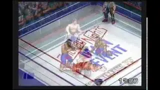 WWF 1988