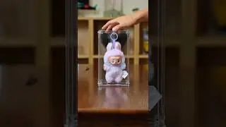 Get a room for your Labubu!!!#labubu #popmart #displaycase #blindbox #collectibles