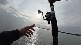 Hawaii fishing - harbor monsters 2 - grueling fight
