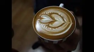 latte art video Wing Tulip Collection