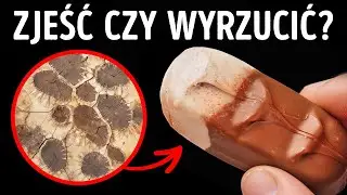 200 interesujących faktów dla mózgu