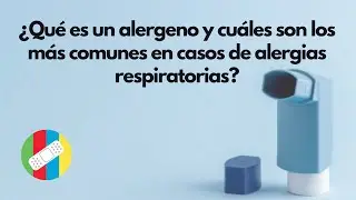 What is an allergen and which ones are the most common in cases of respiratory allergies?